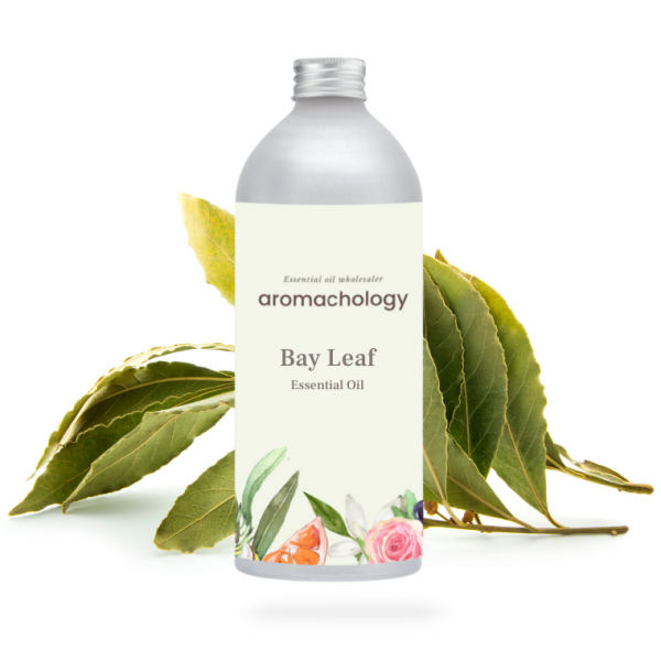 bay leaf essential oil
