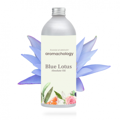 blue lotus absolute oil