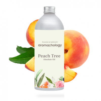 peach tree absolute oil
