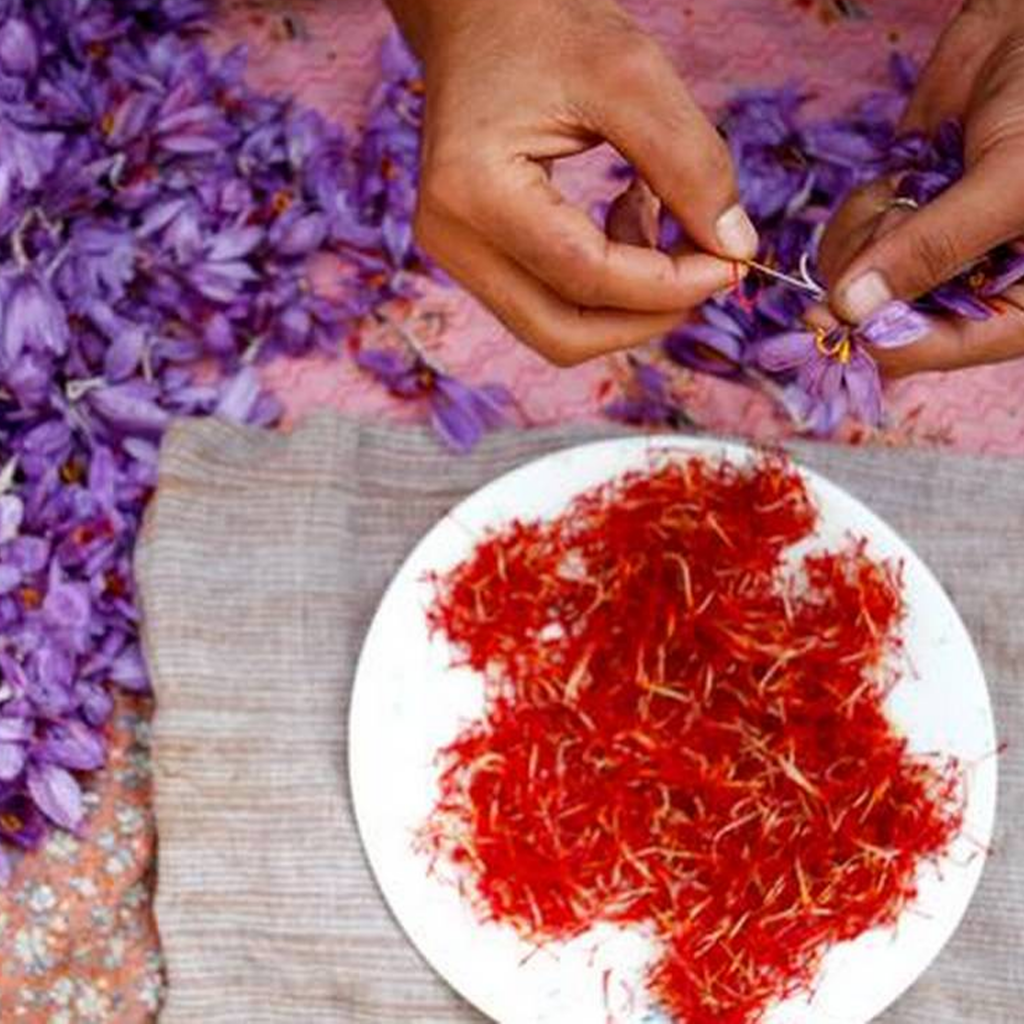 Saffron Absolute Oil Essential Oil Wholesaler