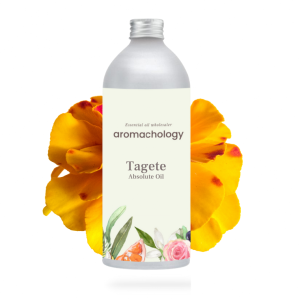 tagete absolute oil