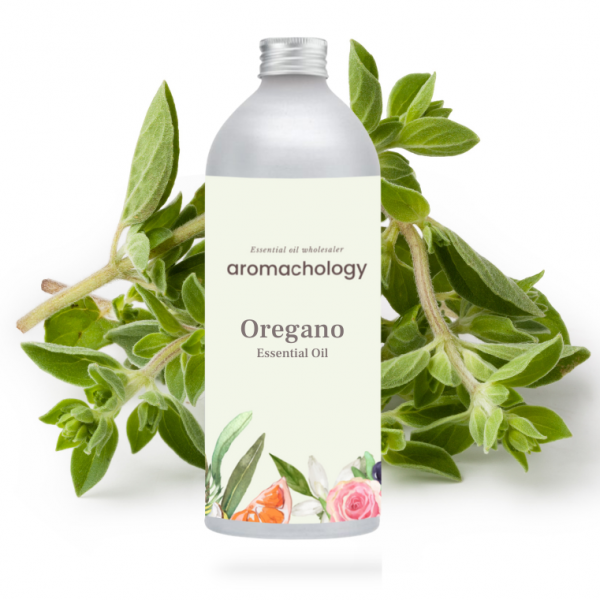 oregano essential oil