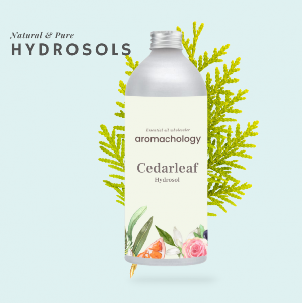 cedarleaf hydrosol